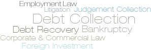 COMMERCIAL & CORPORATE LAW